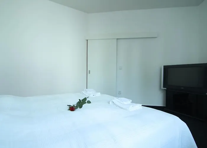 Apartment Amanda Podebrady